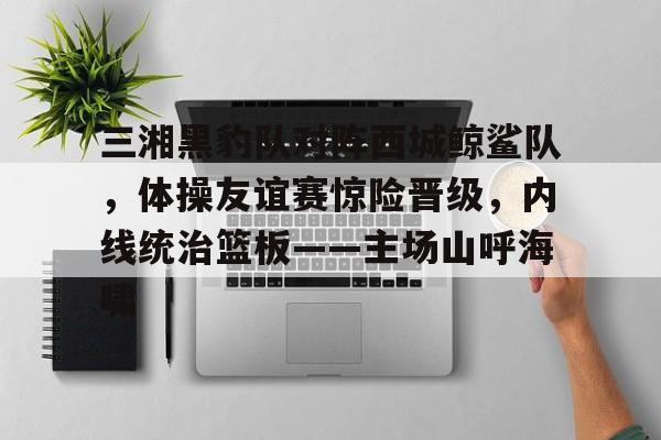 三湘黑豹队对阵西城鲸鲨队,体操友谊赛惊险晋级,内线统治篮板——主场山呼海啸的简单介绍-kaiyun